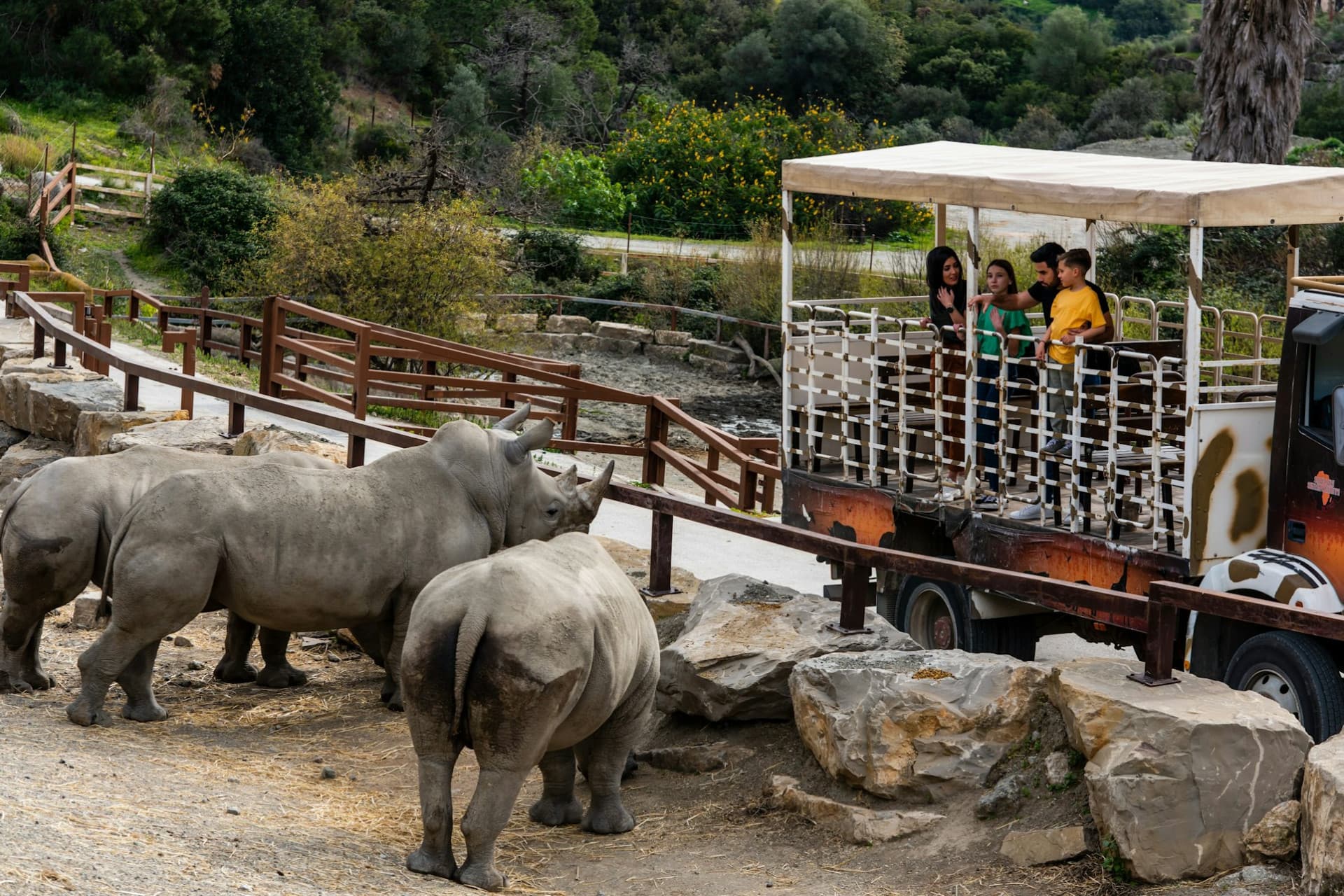 Selwo Aventura Estepona Ticket - image 12