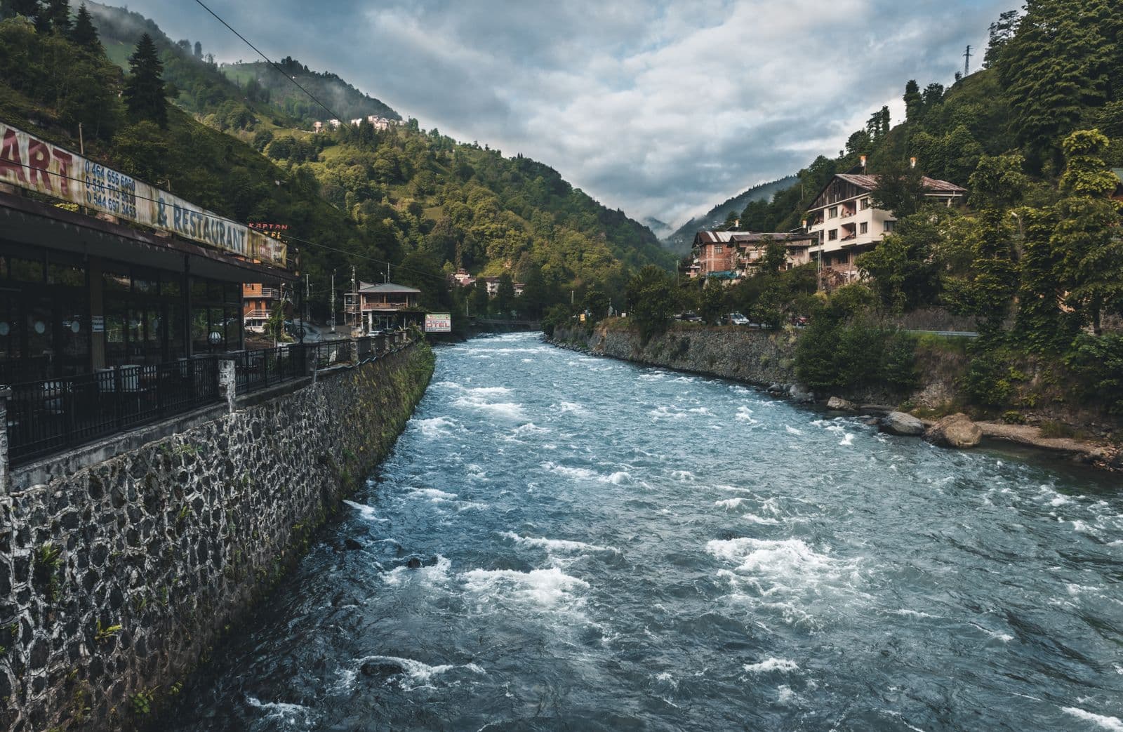 Borjomi Park & Bakuriani Mountain Resort - image 2