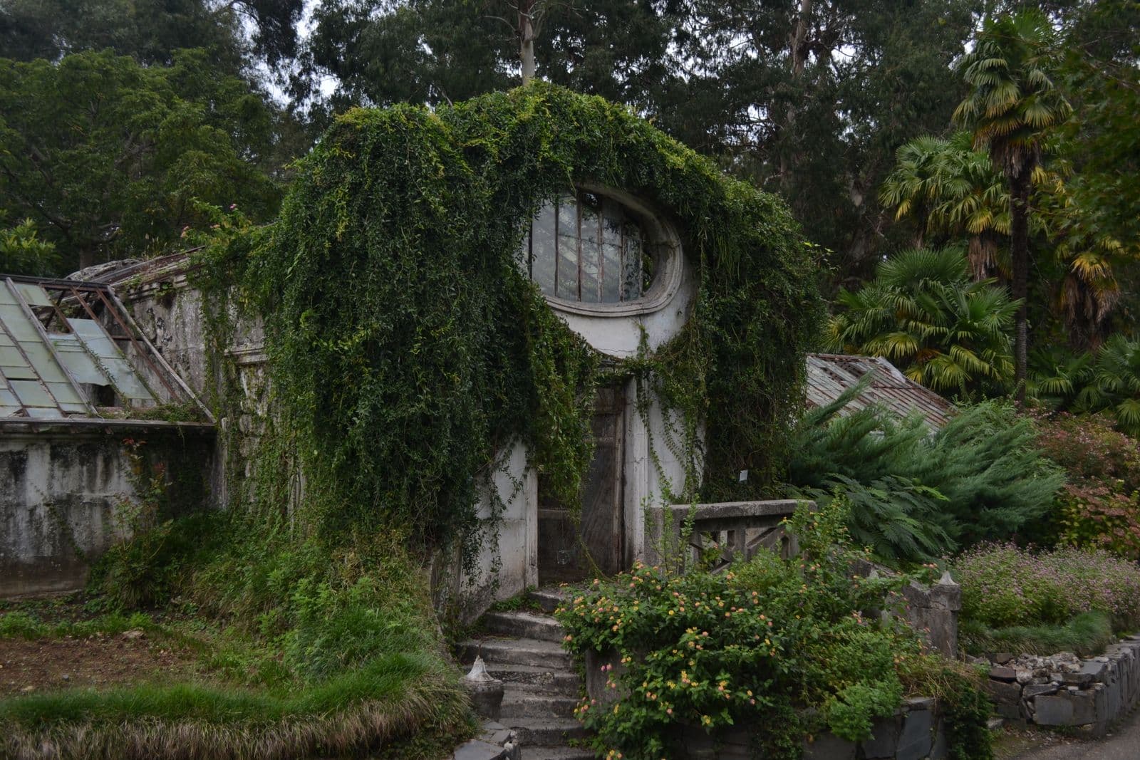 Batumi Botanical Garden & Green Cape - image 2