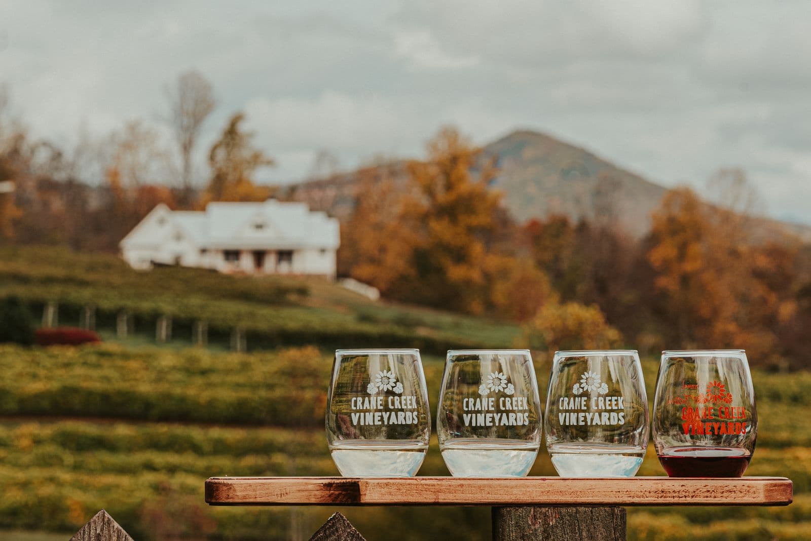 Adjara Wine & Mountain Villages Tasting Day - main image