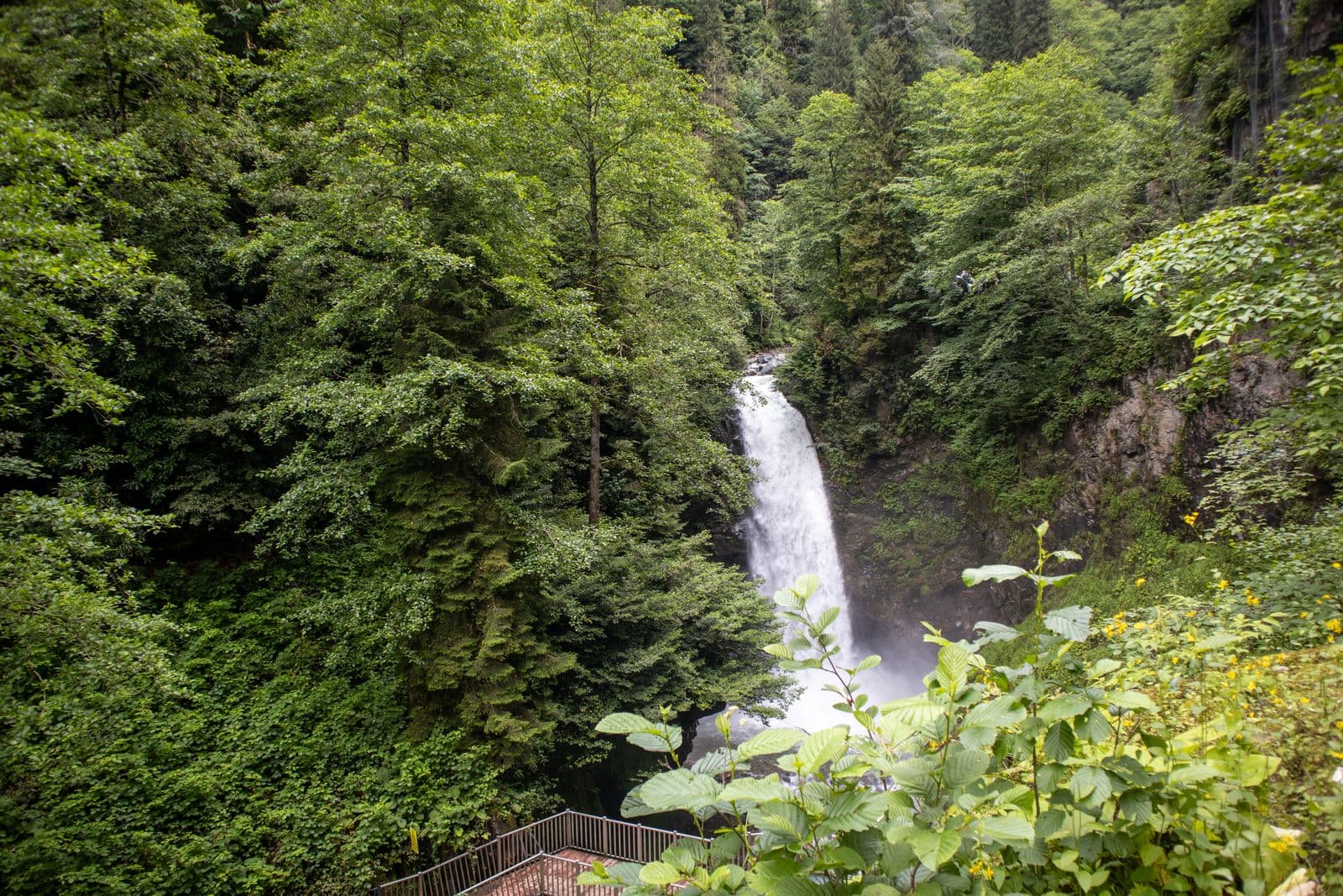 Lagodekhi National Park — Ninoskhevi Waterfall Hike - image 2