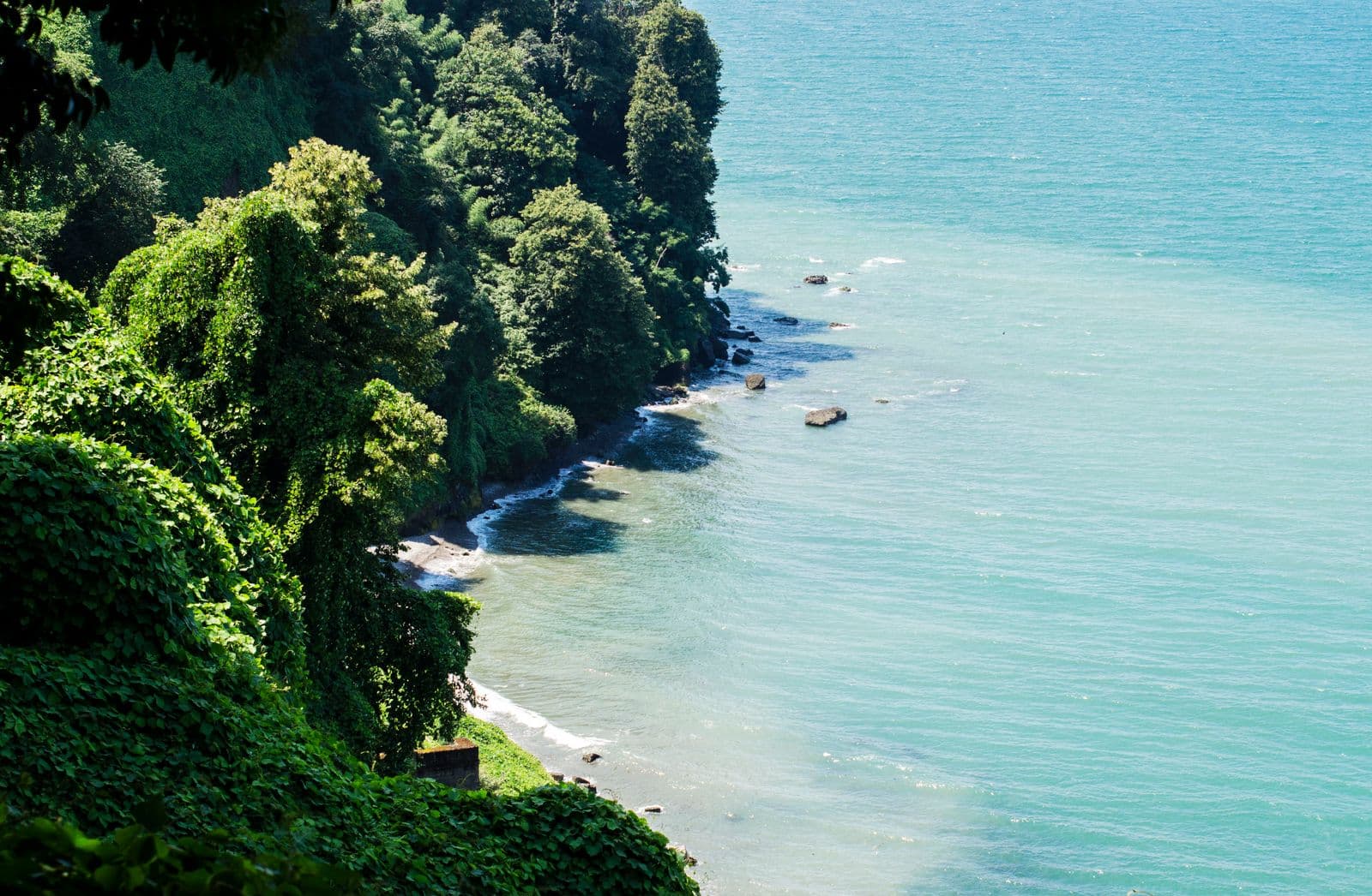 Batumi Botanical Garden & Green Cape - main image