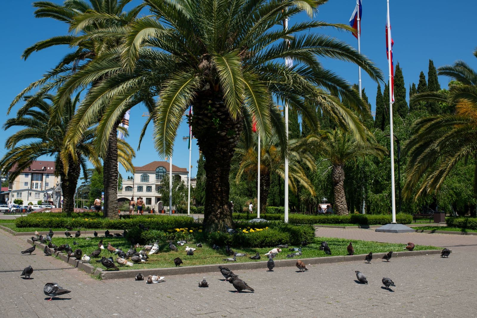 Batumi Botanical Garden & Green Cape - image 3