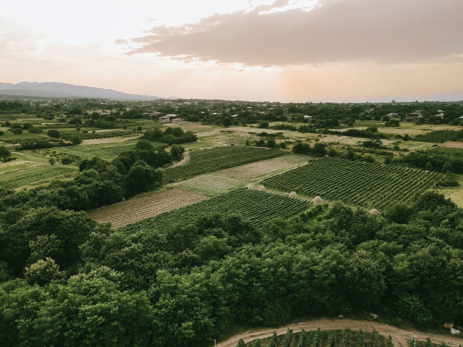 Adjara Wine & Mountain Villages Tasting Day - image 3