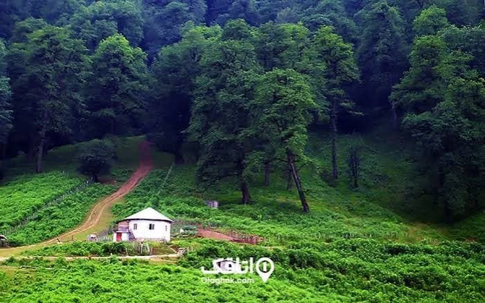 4-Day Ramsar Jungle Camping Tour from Tehran - image 4