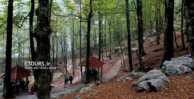 4-Day Ramsar Jungle Camping Tour from Tehran - image 3